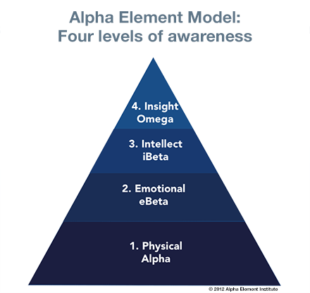 Alpha Element Model: Four Levels of Awareness